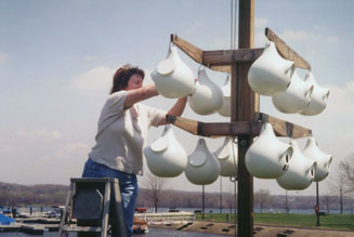 martin nests