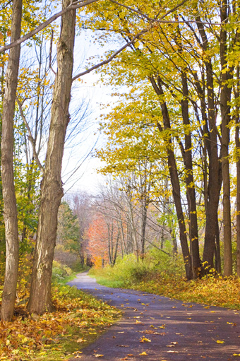 bike trail